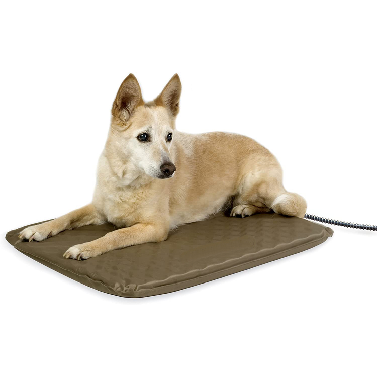 best dog heating pad